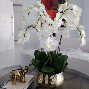 Arranjo Floral de Orquídeas Phalaenopsis em Vaso Dourado