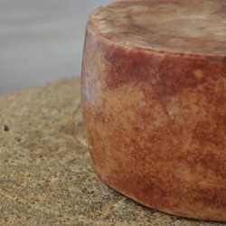 Queijo Tulha