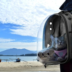 Mochila Pet Para Transporte De Cães E Gatos Visão Panorâmica