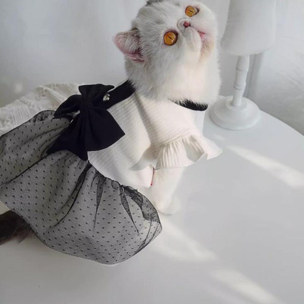 Vestido Princesa para Cães e Gato
