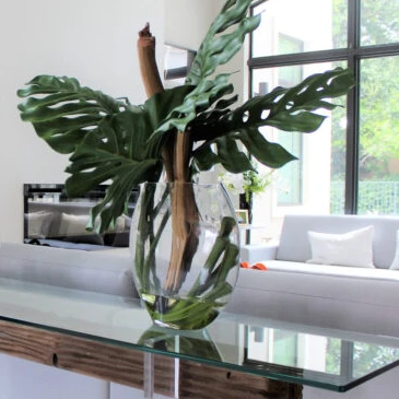Vaso Moon com Folha de Monstera e Madeira de Deriva