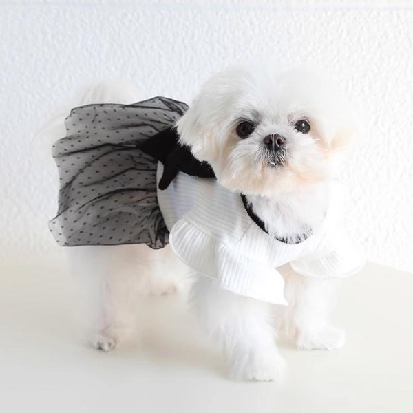 Vestido Princesa para Cães e Gato