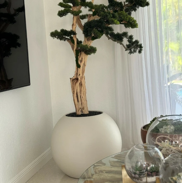 Bonsai em Vaso Globo Bege Acetinado de 75 cm