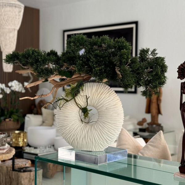 Vaso Eternity Médio com Bonsai Pendente e Madeira de Deriva
