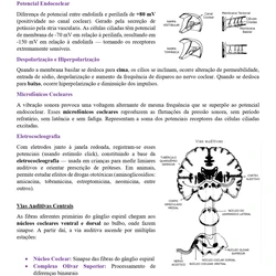 Fonoaudiólogo - SES / DF