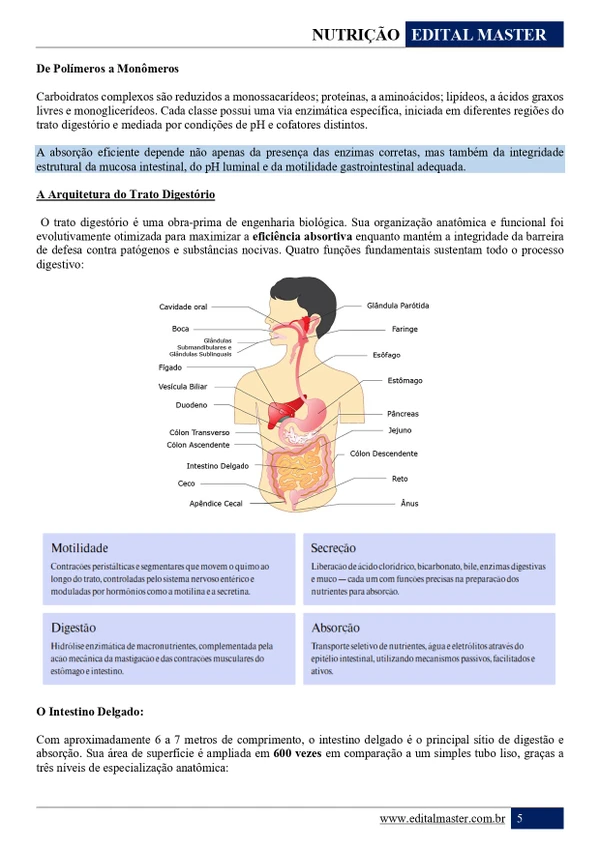 Nutrição ENARE 2026/2027