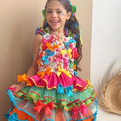 Vestido Junino Luxo - Colorido Com aplicações de Flores de Tecido