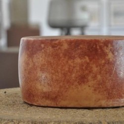 Queijo Tulha