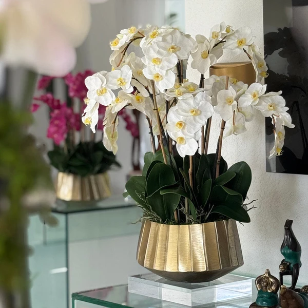 Vaso Barco Helena com Orquídeas Phalaenopsis Brancas