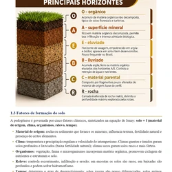 Engenheiro Agrônomo - Concurso Unificado Piauí