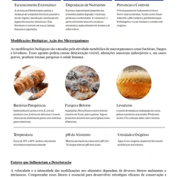 Nutricionista - Embu das Artes SP