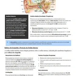 Fonoaudiologia ENARE 2026/2027