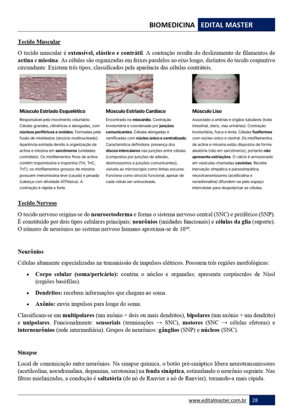 Biomedicina ENARE 2026/2027