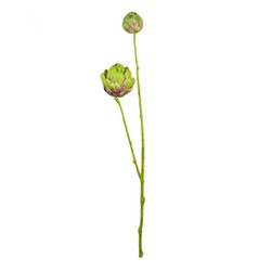 Haste Protea 55cm Verde