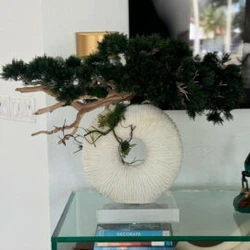 Vaso Eternity Médio com Bonsai Pendente e Madeira de Deriva