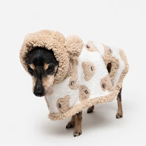 Poncho Teddy