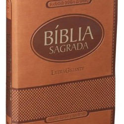 Libro Bíblia Sagrada ARA Letra Gigante | Letra Gigante SBB, de Sociedade Bíblica do Brasil. Editorial Sbb, tapa dura, en português