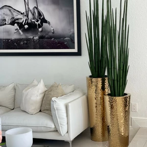 Vaso Cônico de Aço Inoxidável Dourado com Grande Planta de Capim-Cobra.