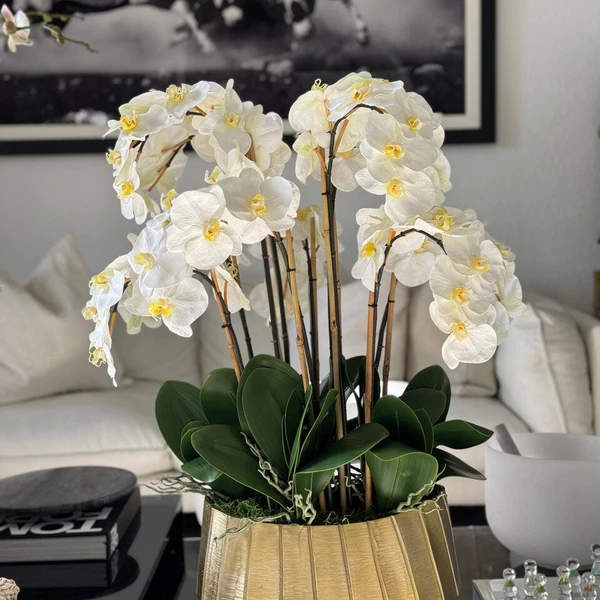 Vaso Barco Helena com Orquídeas Phalaenopsis Brancas