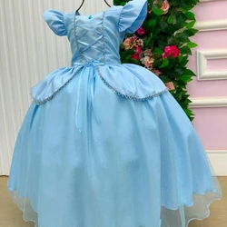 Vestido Fantasia Longo - Cinderela 