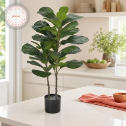 Árvore Ficus Lyrata Toque Real Com Pote Verde 1m