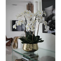 Arranjo Floral de Orquídeas Phalaenopsis em Vaso Dourado