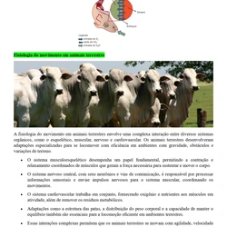 Médico Veterinário - Embu das Artes SP