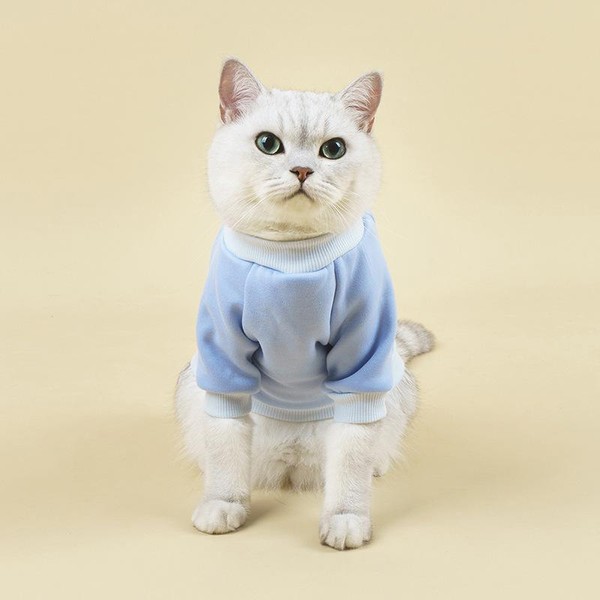 Sueter de Inverno para Gatos