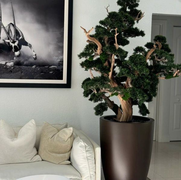 Bonsai de Grandes Dimensões em Vaso Brannan Marrom Fosco