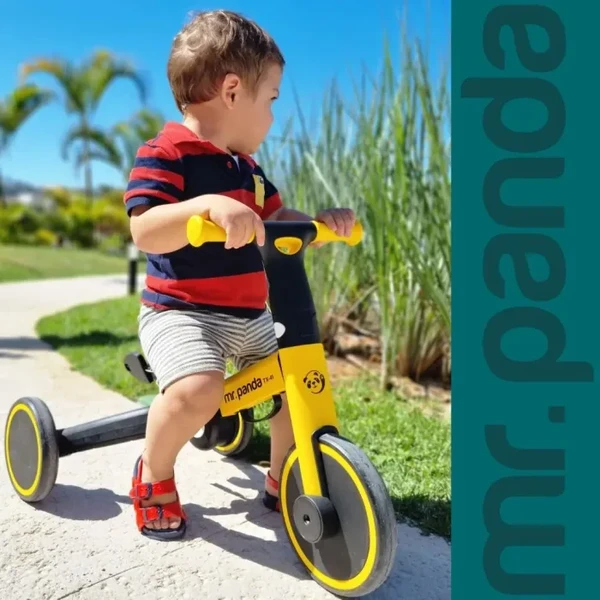Triciclo Mr. Panda Infantil Dobrável