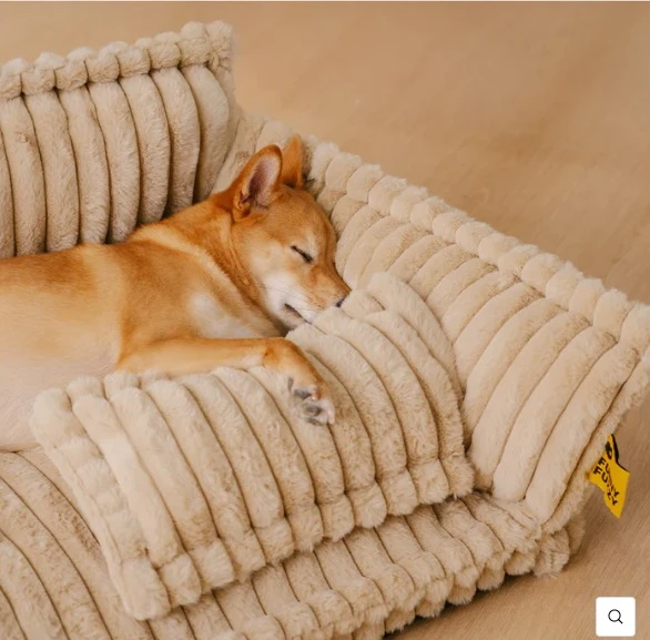 Sofá Cama Ortopédico + Brinde Exclusivo