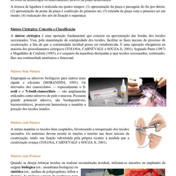 Medicina Veterinária ENARE 2026/2027