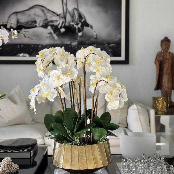 Vaso Barco Helena com Orquídeas Phalaenopsis Brancas