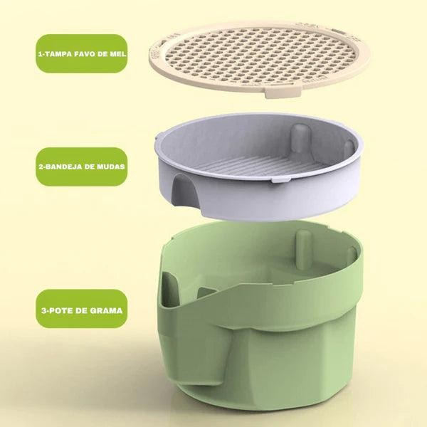 Vaso Auto irrigável de grama para Gatos + Kit Plantio 