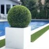 Grande Vaso Bloco de Fibra de Vidro com Topiaria de 20″				
(1 em Estoque)