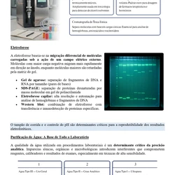 Biomédico - SES TO