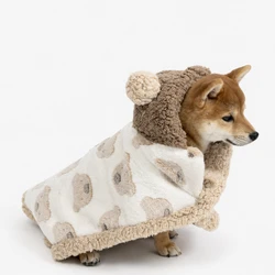 Poncho Teddy