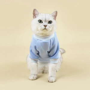 Sueter de Inverno para Gatos