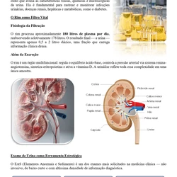 Biomédico - SES TO