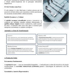 Biomédico - SES TO