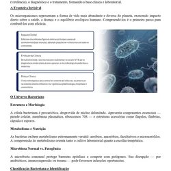 Biomédico - SES TO