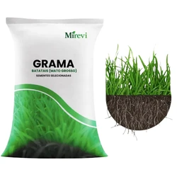 Sementes de Grama dos Batatais Selecionadas - TerraVerde™