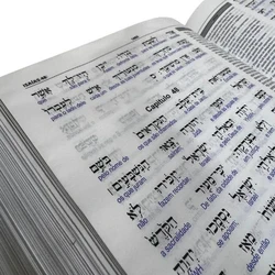 Bíblia Sagrada Interlinear Hebraico-Português / Grego-Português