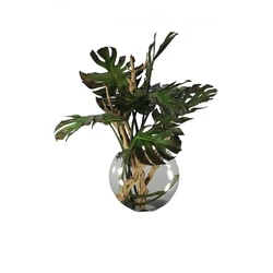 Vaso Moon com Folha de Monstera e Madeira de Deriva
