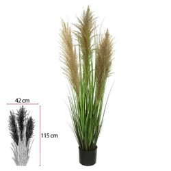 Folhagem Grass Pampas Com Pote Verde 1,2m