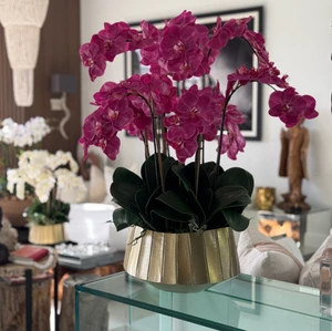 Vaso Barco Helena com Orquídeas Phalaenopsis Rosa