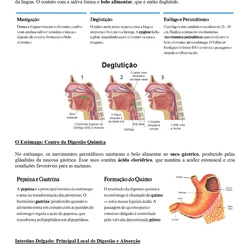 Nutricionista - Jundiaí SP
