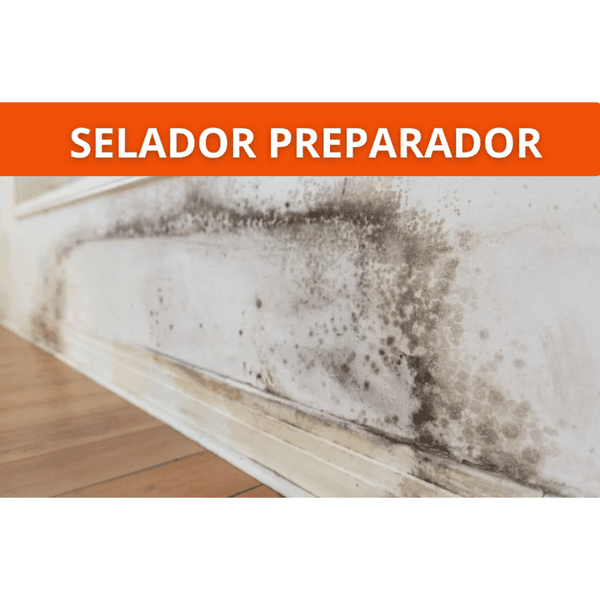 Fundo Preparador de Parede Base Água Boreal 2,8L