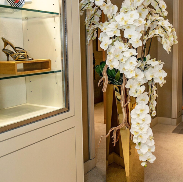 Orquídeas Phalaenopsis em Cascata em Vaso Prisma Dourado