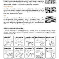 Medicina Veterinária ENARE 2026/2027